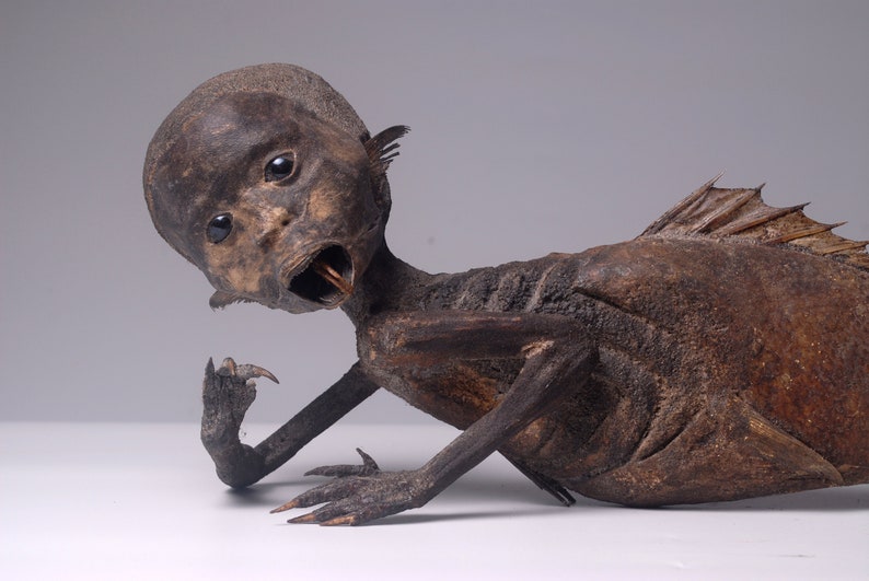 FeeJee MERMAID Fiji Mermaid Mummified Mermaid image 2