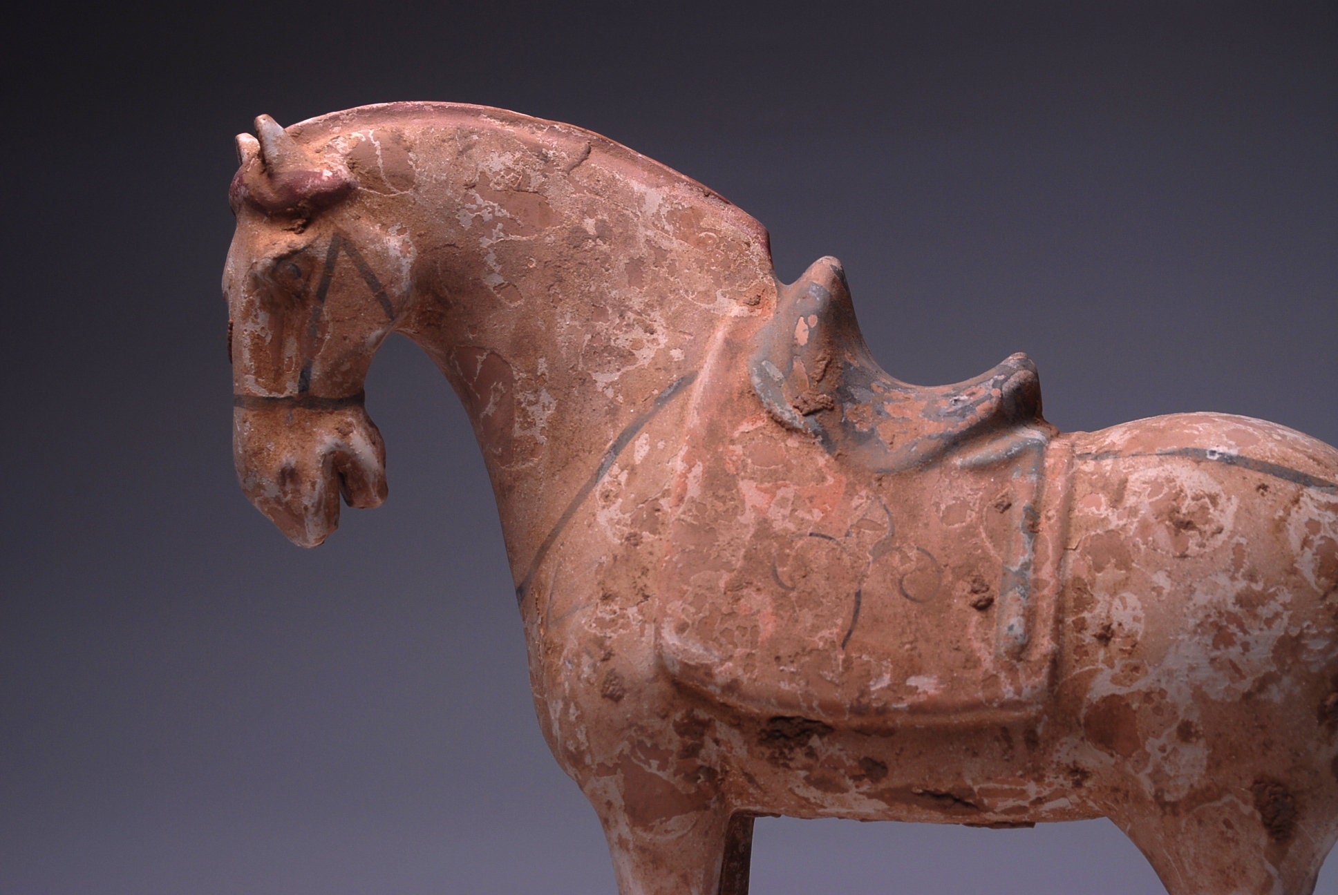 ANTIQUE HORSE Tang Dynasty Horse Original White Horse Antique Etsy