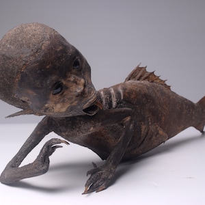 FeeJee MERMAID Fiji Mermaid Mummified Mermaid image 6