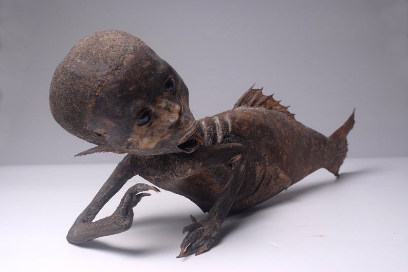 FeeJee MERMAID Fiji Mermaid Mummified Mermaid image 6