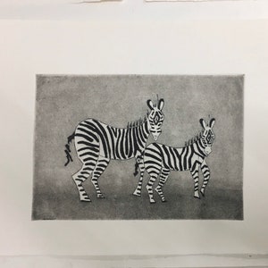 GRAVAT - ZEBRA - Engraving - Engraving - ANIMALPROJECT