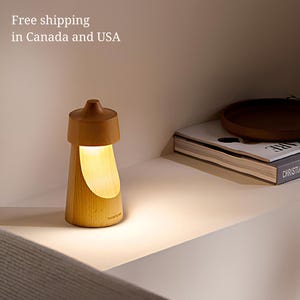 Wood LED Table Lamp, Touch Lampe, Decorated Desk Lamp, Nature Desk Lamp, Bedside Tablelamp, Wood Desklamp, Cute Desklamp, Desk Lamps Arts