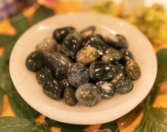 Bloodstone and Green Moss Agate Mix Tumbles
