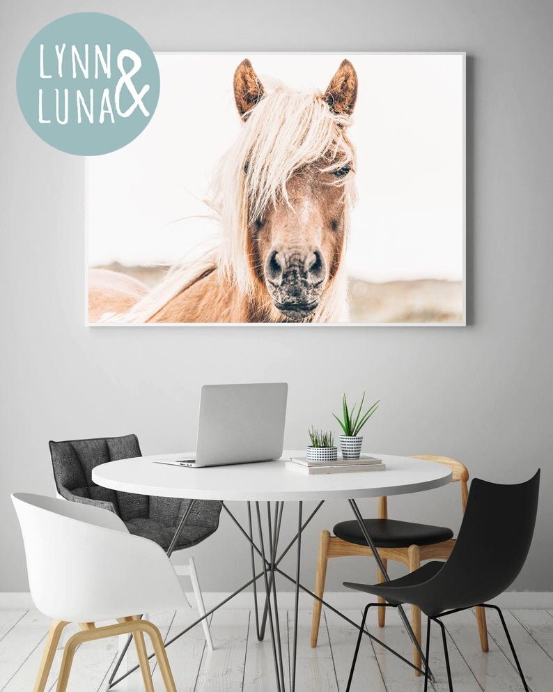 Horse Wall Art Prints Horse Photography Icelandic Horse Print Etsy