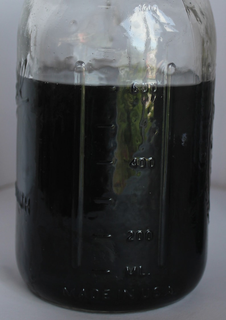 Activated Charcoal Liquid Soap/ Unscented Charcoal Soap / Tea Tree Oil