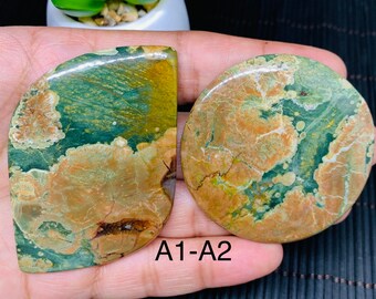 May include: Two green, brown, and orange polished stone cabochons. The cabochons are irregularly shaped, one is a half-circle and the other is round. The text "A1-A2" is written on the hand holding the stones.