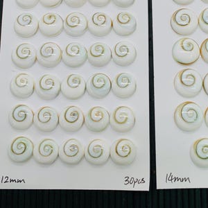 Könnte beinhalten: Zwei Sätze weißer, muschelförmiger Perlen mit Spiralmuster. Ein Satz ist mit 12 mm beschriftet und enthält 30 Stück, der andere ist 14 mm mit 23 Stück. Die Perlen sind auf weißen Karten angeordnet.