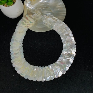 Könnte beinhalten: Eine weiße, irisierende Muschelkette aus überlappenden runden Teilen. Die Kette wird auf einer weißen Muschel präsentiert.