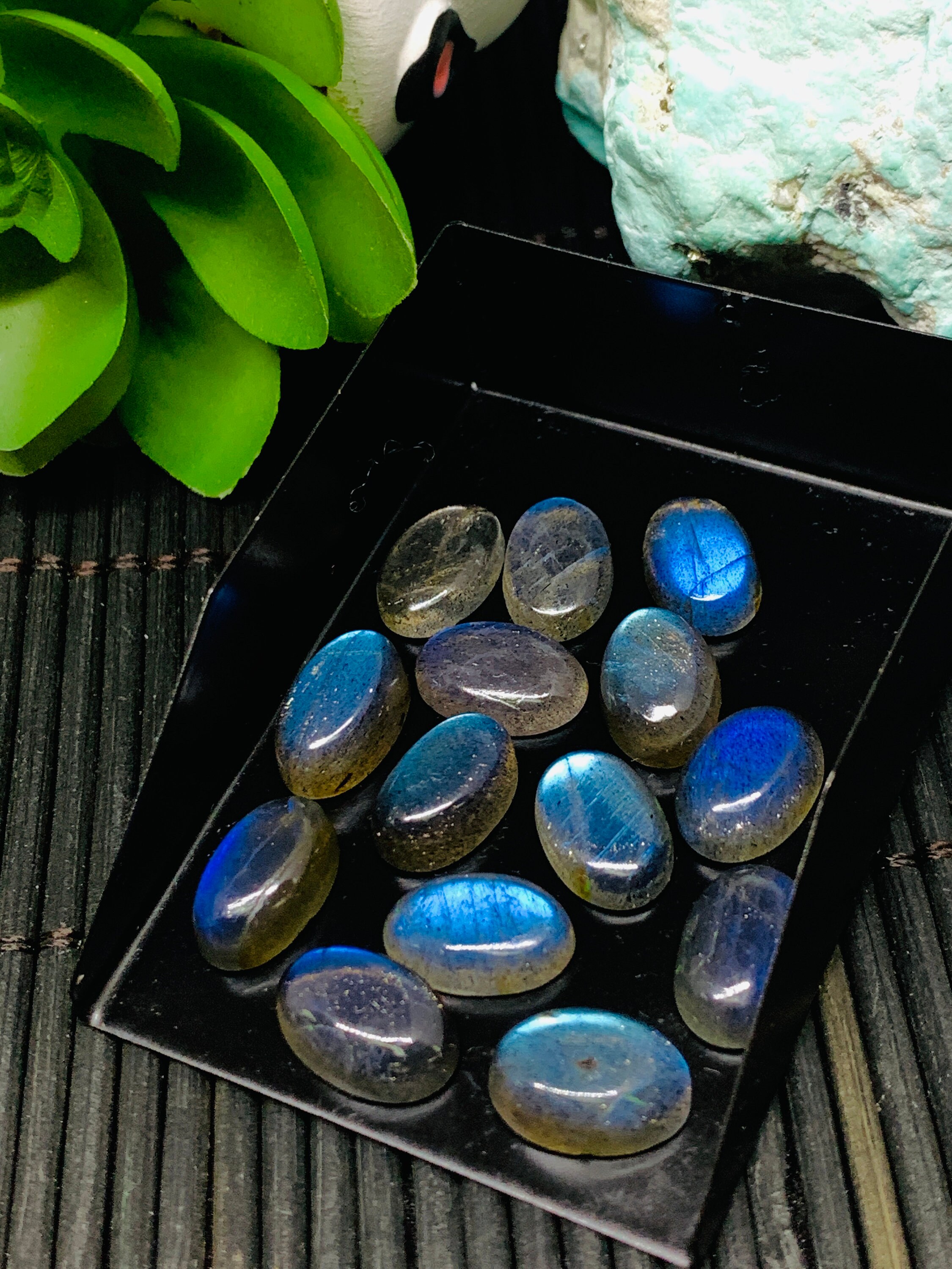 ラブラドライト カボション 8 x 12 mm - 5 個パック - コード #A5