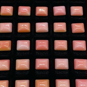 May include: A collection of 42 pink and white shell cabochons arranged in a grid pattern on a black velvet background. The cabochons are all rectangular in shape and have a smooth, polished surface.
