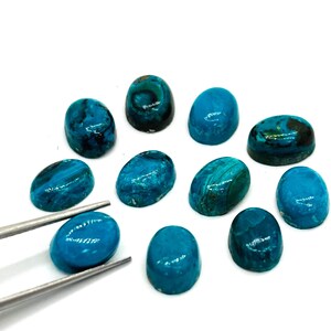 May include: A collection of polished turquoise gemstones, oval-shaped with a glossy finish. The stones vary in shades of blue and teal, with some displaying darker, swirling patterns. A pair of tweezers holds one stone, highlighting the collection.