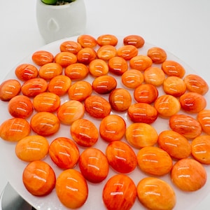 Spiny Oyster Shell Oval Cabs • 10x12 mm Size • Pack of 2 Pcs • AAA Quality • Natural Shell Cabochon • Orange Color