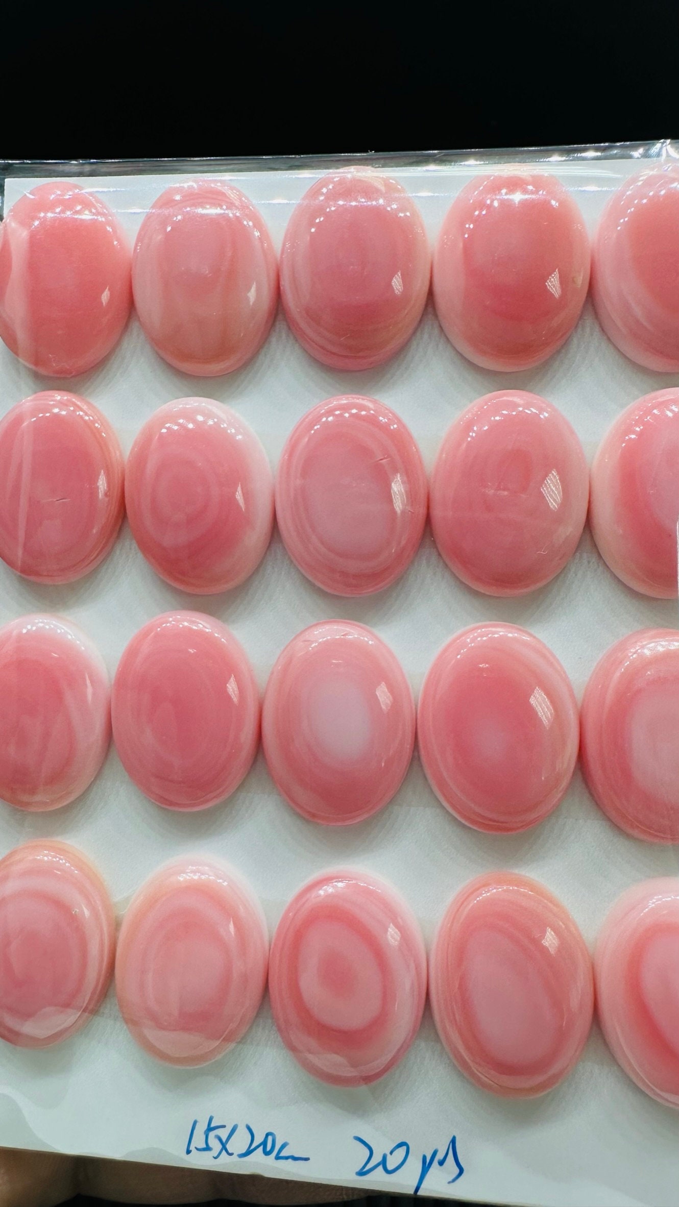 Queen Conch Shell Oval Cabs • 15x20 Mm Size • Pack of 2 Pcs • AAA ...