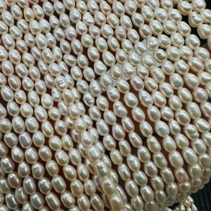 May include: A strand of white freshwater pearls, with a smooth, oval shape. The pearls are arranged in rows, creating a uniform and elegant look.
