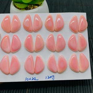 May include: Twelve pink shell cabochons, each measuring 10 x 20 mm, arranged in four rows of three on a white surface. The text "10 x 20 mm 12 pcs" is written in blue ink on the surface.