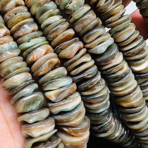 Abalone Shell Beads • 8-15 mm Size • 40 cm length • AAA Quality • Natural Abalone Shell • Origin Australia