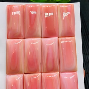 以下が含まれることがあります： ピンクと白の貝殻のカボションが12個、それぞれ1.5 x 3.0 cmで、3列4個ずつ並んでいます。