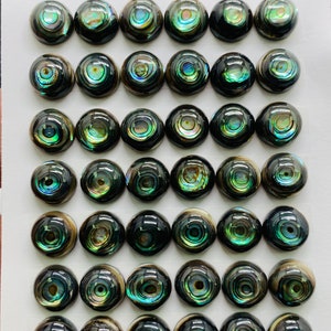 May include: A sheet of white paper with 48 round, iridescent abalone shell cabochons arranged in 8 rows of 6. The cabochons are a dark green, blue, and brown color with a swirling pattern.