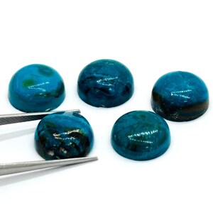 May include: Five polished, cabochon-cut gemstones in shades of teal and dark blue are displayed against a white background. One gem is held by silver tweezers. The stones have a smooth, domed shape and a glossy finish, with visible internal patterns.