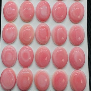 Queen Conch Shell Oval Cabochons • 13 x 18 mm Größe • 2 Stück • AAA Qualität • Flache Rückseite • Queen Conch Cabochons