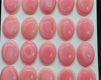 Queen Conch Shell Oval Cabochons • 13 x 18 mm Größe • 2 Stück • AAA Qualität • Flache Rückseite • Queen Conch Cabochons