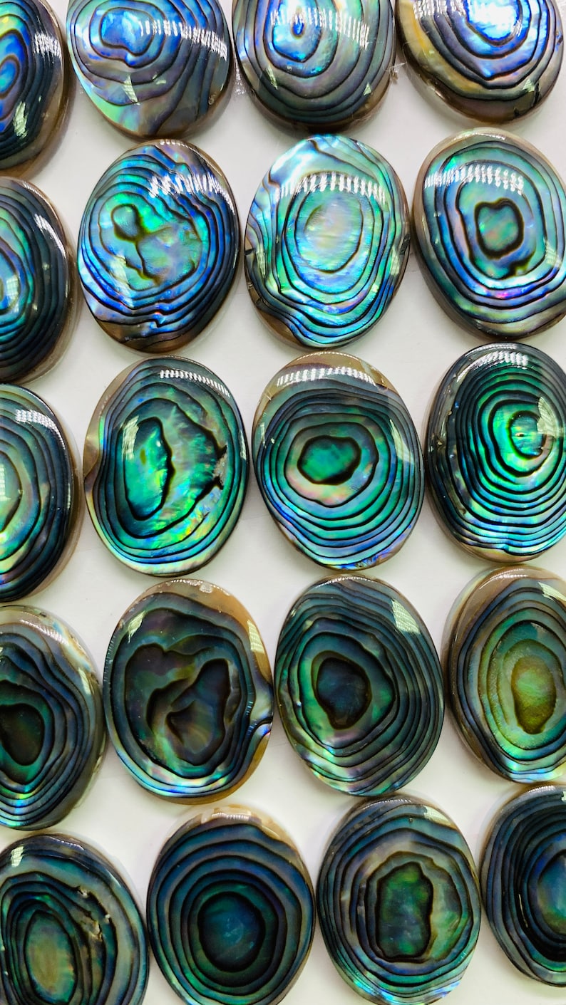 Abalone Shell Oval Cabs- 15x20 Mm Size- Pack of 2 Pcs - AAAA Quality ...