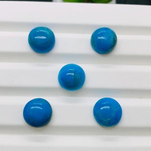 May include: Five turquoise cabochons, each with a slightly different shade of blue, are arranged on a white surface. The cabochons are round and smooth, with a glossy finish.
