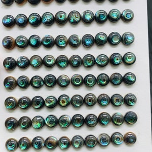 Könnte beinhalten: Ein Blatt weißes Papier mit 8 Reihen von 10 runden, irisierenden Abalone-Muschel-Cabochons. Die Cabochons haben einen Durchmesser von etwa 6 mm und ein schwarz-grün-blaues Farbmuster. Der Text "6mm" und "80pcs" ist auf dem Papier geschrieben.