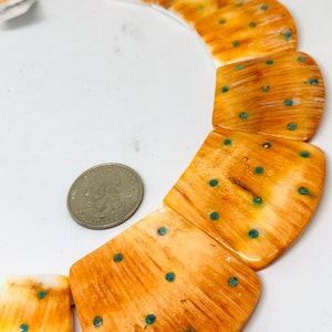 May include: A necklace made of bone with turquoise accents. The bone is a light brown color and has a natural wood grain pattern. The turquoise accents are small and round, and they are evenly spaced throughout the necklace.