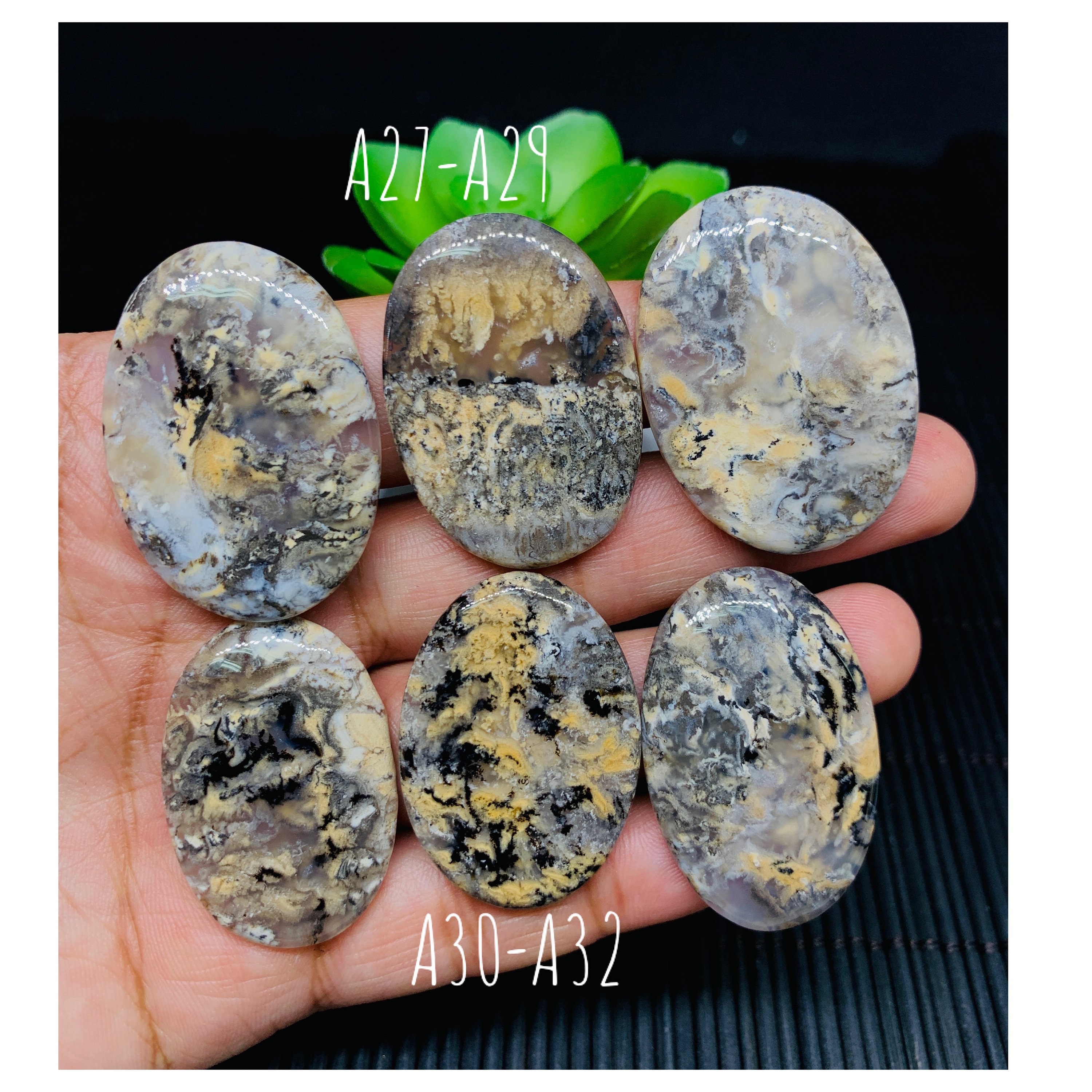 Dendritic Tiger Agate Cabochon • Code A27- A32 • AAA Quality