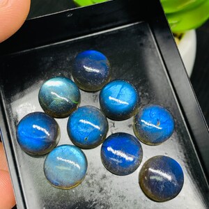 May include: A collection of ten round, iridescent blue labradorite gemstones in a black tray. The gemstones have a variety of shades of blue and gray.