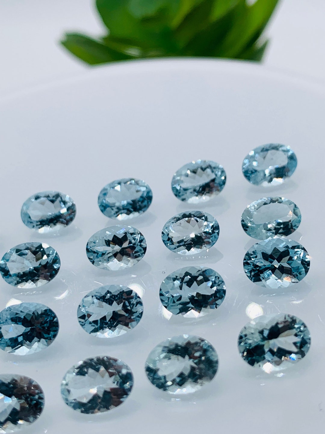 BRIESTA ブリエスタ aquamarine NUTS OUTDOOR il_1080xN.4136040182_dcc2.jpg
