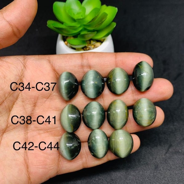 Cats Eye Cabochon • Code C 34-C44 • Natural Cats Eye Cabs • Gemstone Cabochon • Perfect for Jewelry Making
