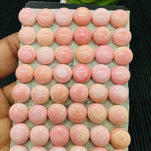 Queen Conch Shell Round Cabs • 10 mm Size • Pack of 4 Pcs • AAA Quality
