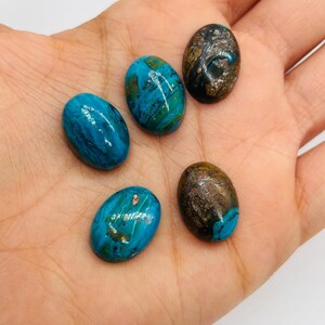 May include: Five oval-shaped gemstones in shades of blue and brown are displayed on a hand. The gemstones have a polished, smooth surface. The blue stones have a marbled appearance, while the brown stones have a speckled pattern. The gemstones are of varying sizes.