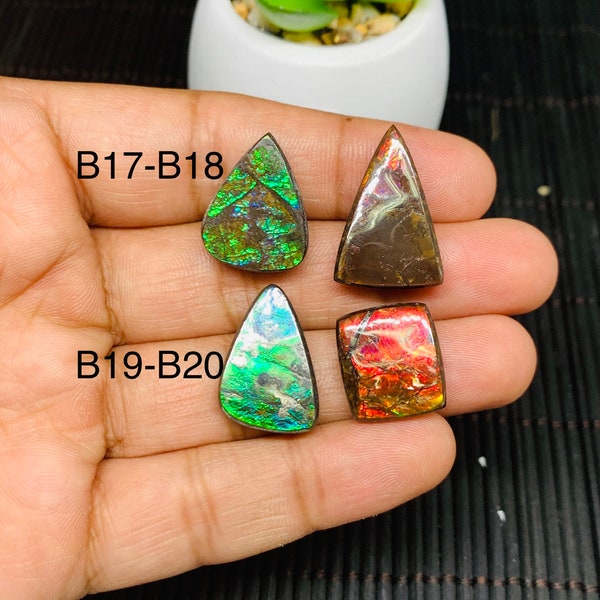 Ammolite Cabochon • Code B17-B20 • AAA Quality • Natural Ammolite Cabochon • Origin Canada