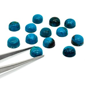 May include: A collection of turquoise cabochon gemstones, each with a rounded, domed shape. The stones vary in shades of blue and teal, with some displaying darker veining. A pair of tweezers holds one of the stones, set against a white background.