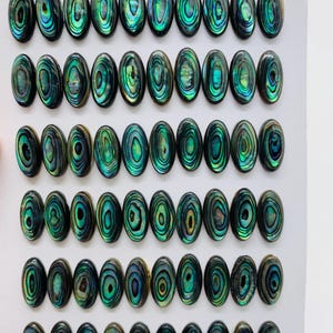 May include: A collection of oval-shaped abalone shell cabochons. The iridescent shells display a range of colors, including green, blue, and black, with concentric patterns. The cabochons are arranged in neat rows on a white surface.