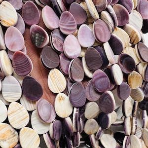 Wampum Quahog Shell TearDrop Beads • 10x14 mm Size • 40 cm length • AAA Quality • Natural Wampum Shell • Purple Color