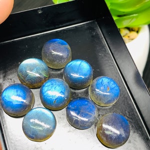 May include: A collection of nine iridescent blue labradorite cabochons in a black tray. The stones are round and have a smooth, polished surface.