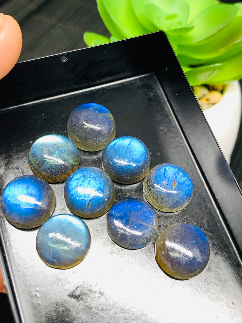May include: A collection of nine iridescent blue labradorite cabochons in a black tray. The stones are round and have a smooth, polished surface.