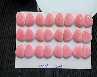 Queen Conch Shell Fancy Cabochons • 18 x 12 mm Größe • 2 Stück • AAA Qualität • Flache Rückseite • Queen Conch Cabochons