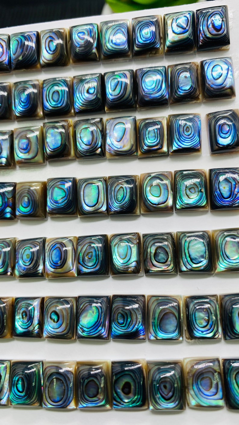 Abalone Shell Rectangle Cabs- 8x10 Mm Size- Pack of 5 Pcs- AAAA Quality ...
