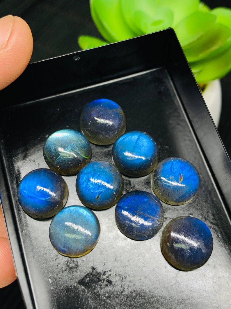 May include: Ten round, iridescent blue labradorite cabochons in a black tray. The cabochons are smooth and polished, with a variety of blue and green hues.
