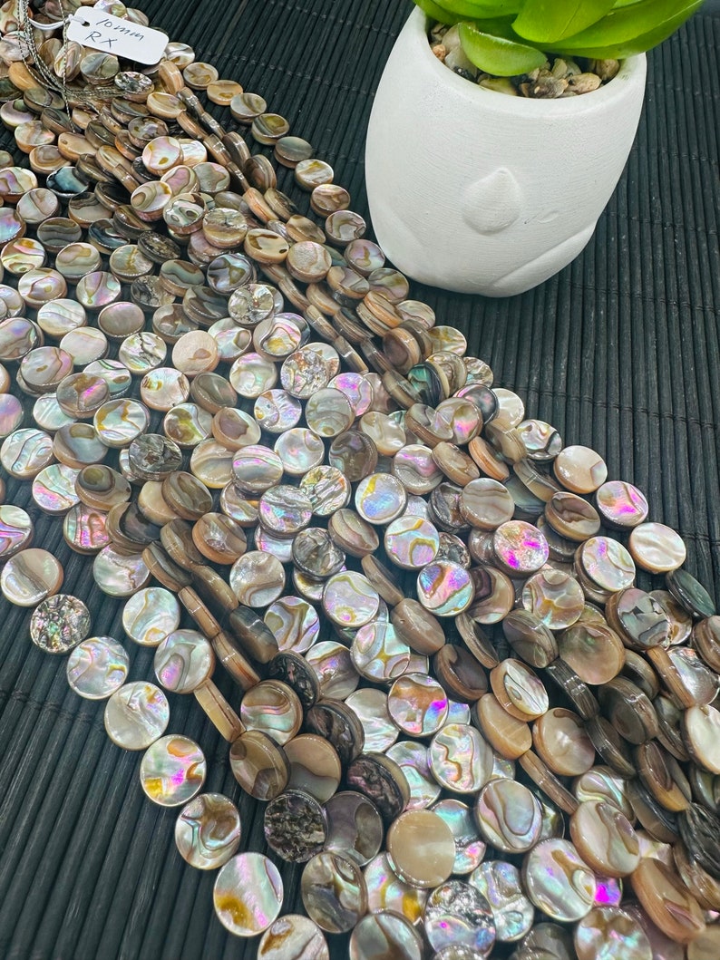 Abalone Shell Coin Beads • 10 Mm Size • 40 Cm Length • AAA Quality ...
