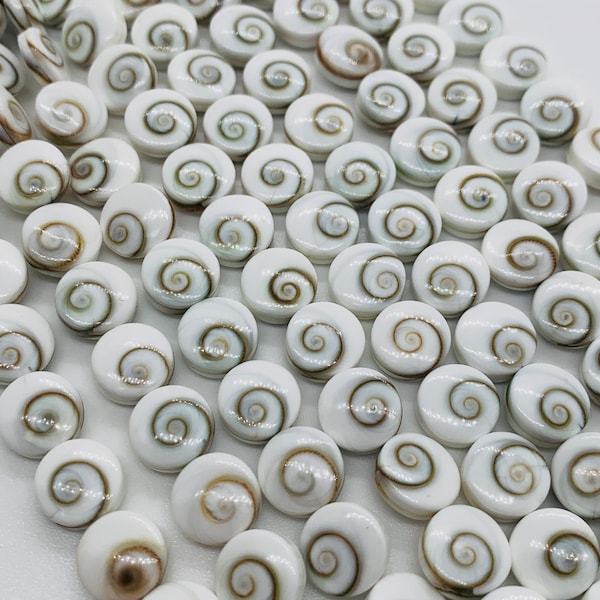 Shiva Shell Round Coin Beads - 6 / 8 mm Size • AAA Quality• Length 40 cm •  Natural Single Shiva Shell Beads  • One Sided Shiva Shell Beads