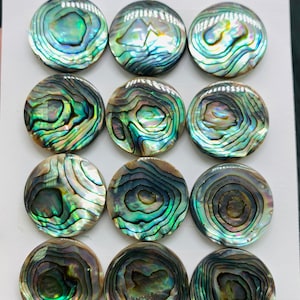 May include: Twelve round iridescent abalone shell cabochons, each with a unique swirling pattern of green, blue, and brown. The cabochons are 20mm in diameter and are arranged in three rows of four on a white surface. The text "20mm" and "12pcs" is written on the surface.