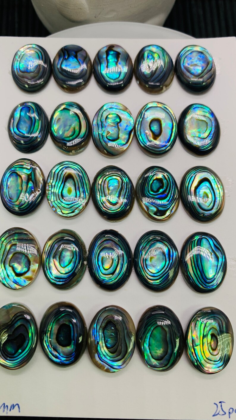 A R Twenty Two Shells Abalone Shell Oval Cabs- 12x16 Mm Size- Pack of 2 Pcs- AAAA Quality ...