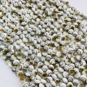 Könnte beinhalten: Eine Strähne aus weißen und braunen Muschelperlen. Die Perlen sind rund und haben ein Spiralmuster.