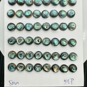 May include: A white card with 56 round iridescent abalone shell buttons arranged in rows. The card has the text "8mm" and "56P" written on it.